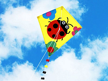 Воздушный змей HasiKites Божья коровка 70х60