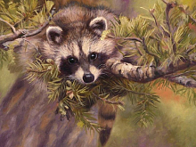 Картина по номерам 40х50 ЕНОТИК 28 цветов