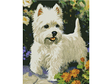 Алмазная мозаика с нанесенной рамкой 40х50 БЕЛЫЙ ТЕРЬЕР  22 цвета