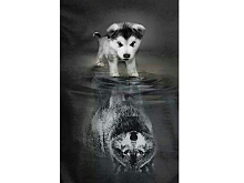 Картина по номерам с цветной схемой на холсте 30х40 Я все смогу 17 цветов