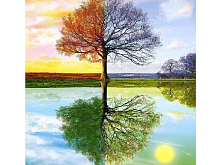 Картина по номерам 30х30 Времена года 21 цвет