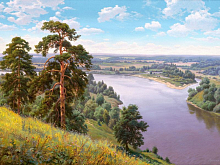 Картина мозаикой с нанесенной рамкой 40х50 ИПРИЩЕПА ОБРЫВ 31 цвет