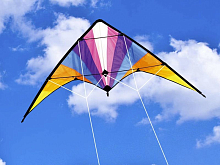 Управляемый воздушный змей HasiKites скоростной Выстрел 160