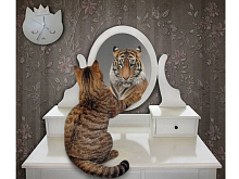 Картина по номерам 40х50 Отражение 24 цвета