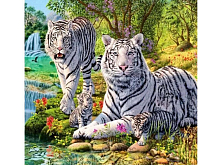Картина по номерам 30х30 Семейство белых тигров 19 цветов