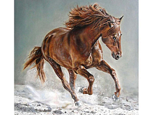 Картина по номерам 30х30 Рысак 17 цветов