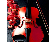 Картина мозаикой 30х30 МУЗЫКА ЦВЕТОВ квадрат 22 цвета