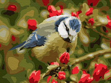 Картина по номерам 15х20 СИНИЧКА 18 цветов