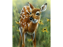Картина по номерам с цветной схемой на холсте 30х40 Олененок 22 цветов