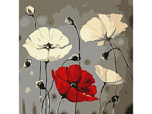Картина по номерам 30х30 МАКИ НА ТЕМНОМ ФОНЕ 14 цветов