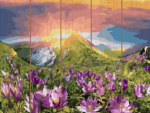 Картина по номерам на дереве 40х50 ВОСХОД 28 цветов