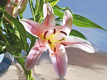 Алмазная мозаика 15х20 ЛИЛИЯ 13 цветов