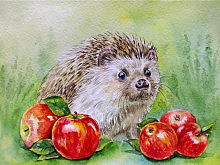 Картина по номерам с цветной схемой на холсте 30х40 Подарок от друзей 18 цветов