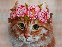 Набор юного художника 20х30 КРАСАВИЦА 16 цветов