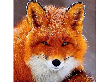 Картина мозаикой 30х30 ЛИСОНЬКА квадрат 28 цветов