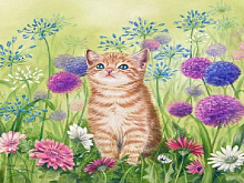 Набор юного художника 20х30 ЛЕТНИЙ ДЕНЬ  18 цветов