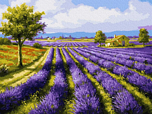 Картина по номерам 40х50 ЛАВАНДОВОЕ ПОЛЕ 27 цветов