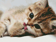 Алмазная мозаика с нанесенной рамкой 40х50 ПОСЛЕ ОБЕДА 24 цвета