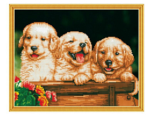 Алмазная мозаика с нанесенной рамкой 40х50 НЕРАЗЛУЧНЫЕ 25 цветов