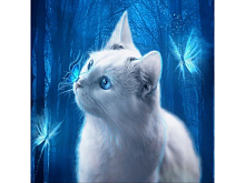 Картина мозаикой 30х30 ГОЛУБОГЛАЗАЯ КОШКА квадрат 22 цвета