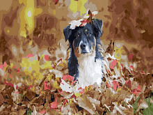 Картина по номерам 40х50 Запах осени 28 цветов