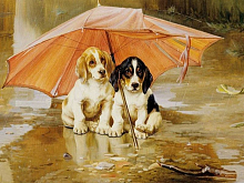 Картина по номерам 40х50 Непогода 21 цвет