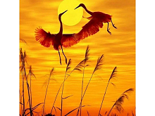 Картина мозаикой 30х30 ТАНЕЦ ЖУРАВЛЕЙ квадрат 14 цветов