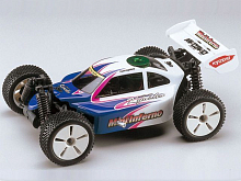 Кузов для MiniInferno, покрашенный