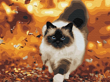 Картина по номерам 40х50 Осенняя прогулка 21 цвет