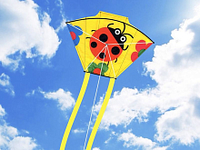 Воздушный змей HasiKites Божья коровка 45х33