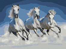 Картина по номерам с цветной схемой на холсте 30х40 ОРЛОВСКИЕ РЫСАКИ 18 цветов