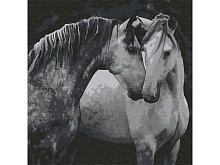 Картина по номерам 30Х30 ПАРА ЛОШАДЕЙ 11 цветов