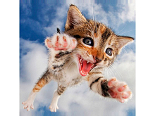 Картины мозаикой 30х30 Я ЛЕЧУ 28 цветов