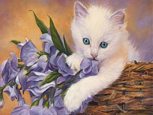 Картина по номерам 40х50 НЕЖЕНКА  28 цвета