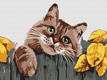 Картина по номерам 15х20 МЯУ 12 цветов